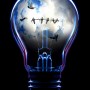 Bird into bulb
